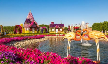 Dubai Miracle Garden, UAE