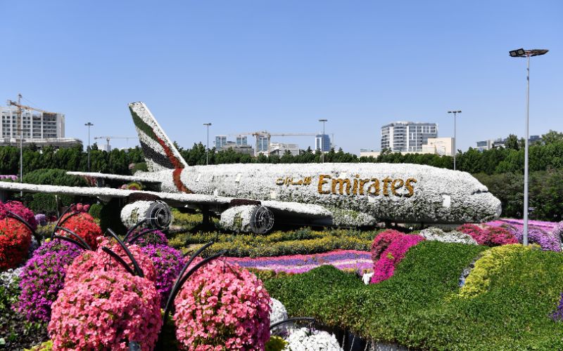 Dubai Miracle Garden in the daytime