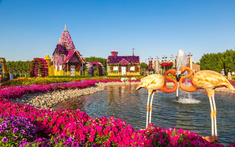 Dubai Miracle Garden, UAE