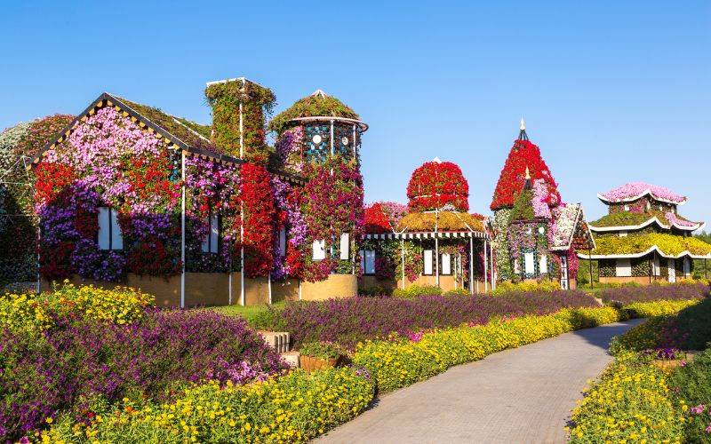 Dubai miracle garden , UAE