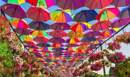 Multicolor umbrellas roof in Dubai miracle garden