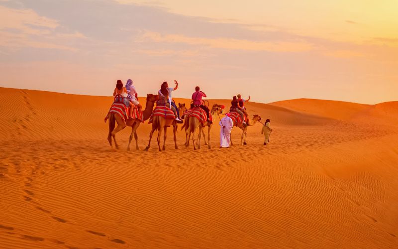 Tourist riding camels through Dubai desert