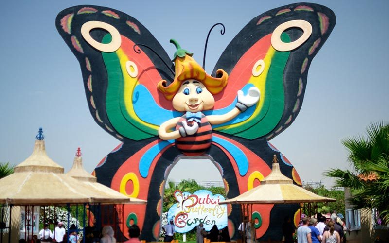 Dubai Butterfly Garden